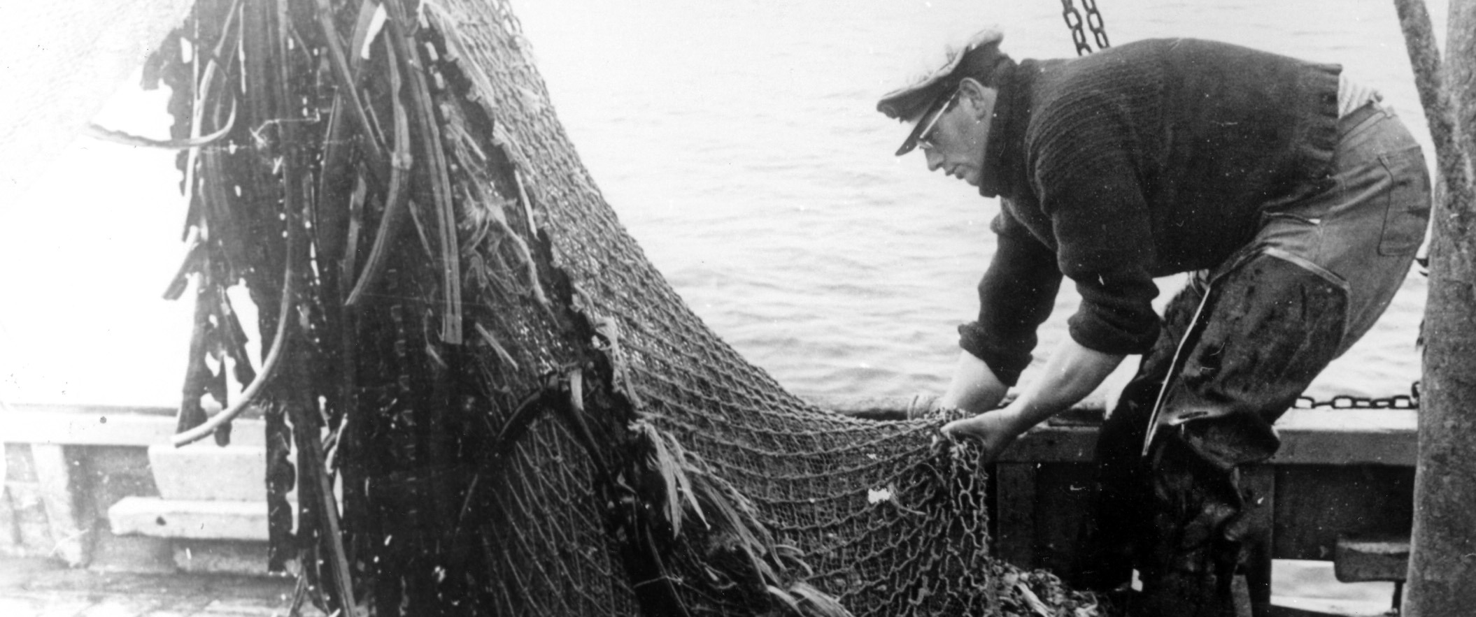 Emptying the fishing net